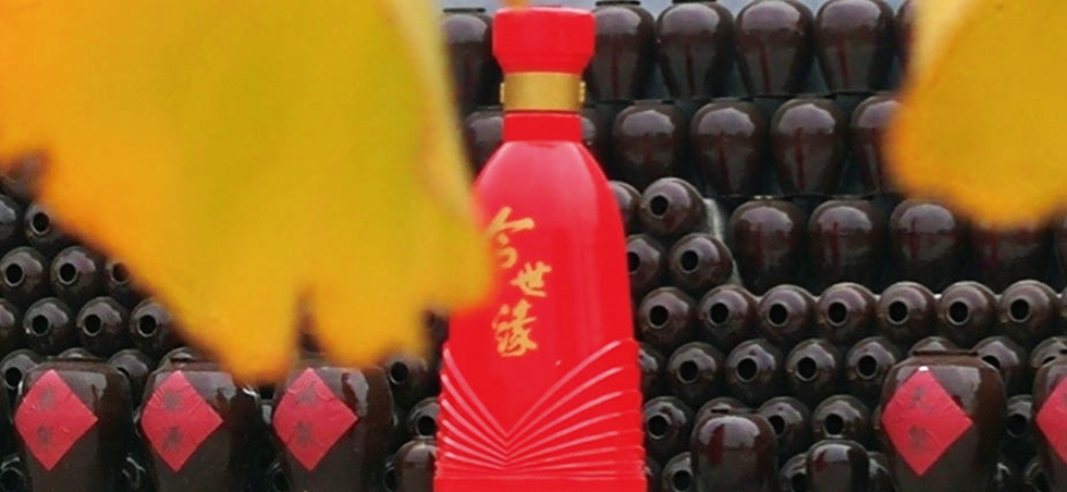 红龙扑克 - 专业在线扑克赛事运营商