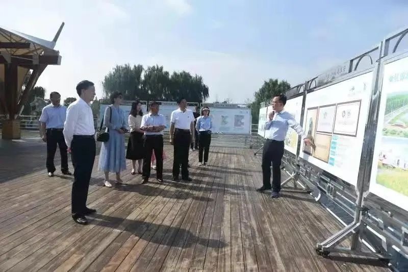 021905507852 红龙扑克 - 专业在线扑克赛事运营商