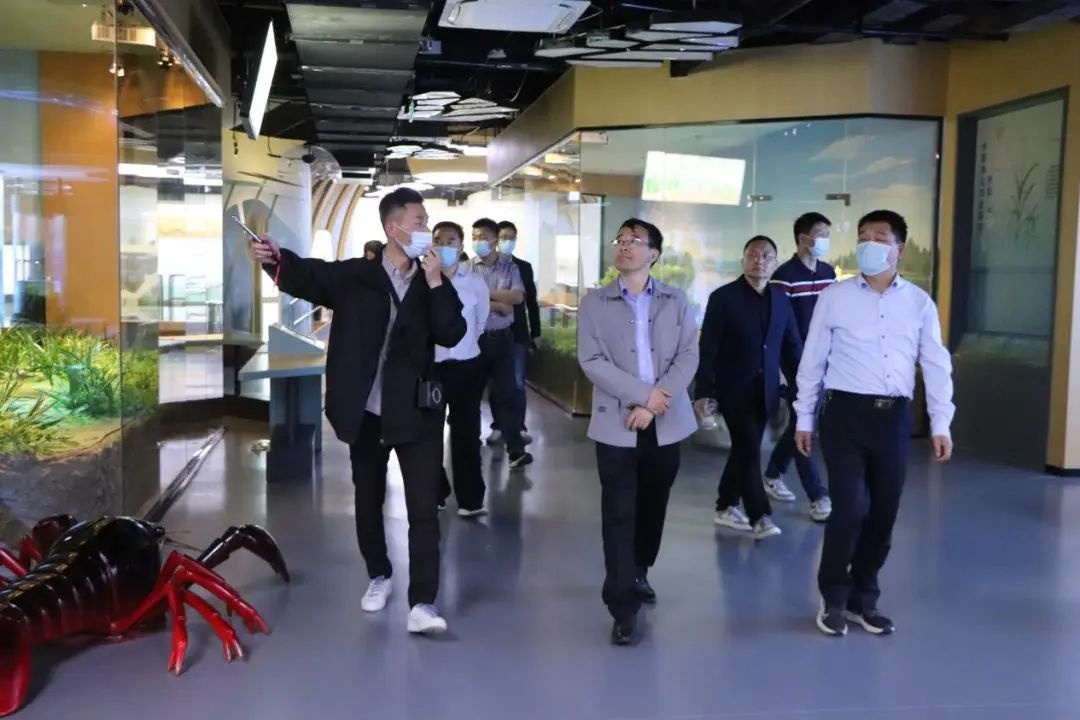 红龙扑克 - 专业在线扑克赛事运营商