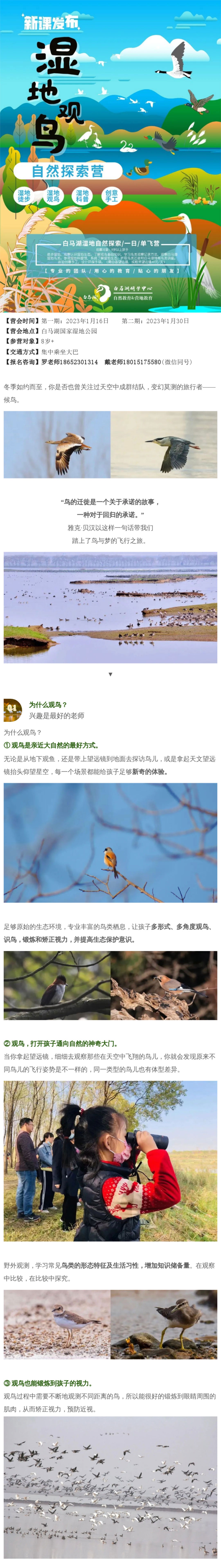 红龙扑克 - 专业在线扑克赛事运营商