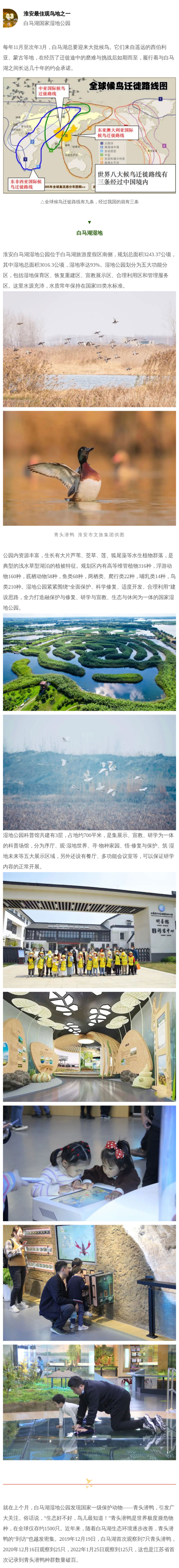 红龙扑克 - 专业在线扑克赛事运营商