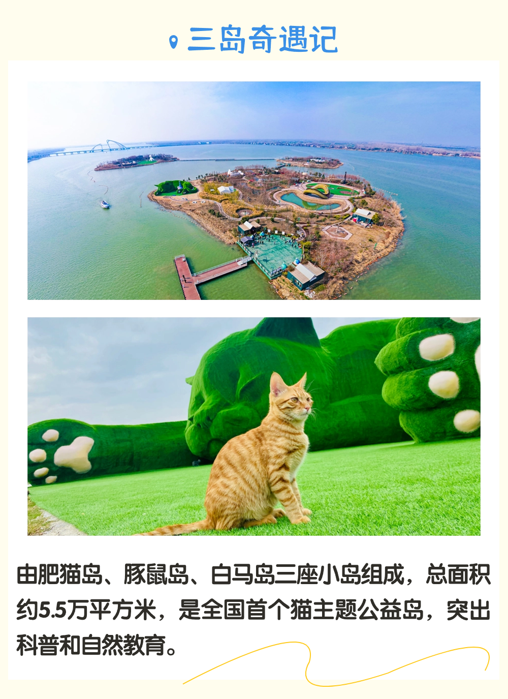 红龙扑克 - 专业在线扑克赛事运营商