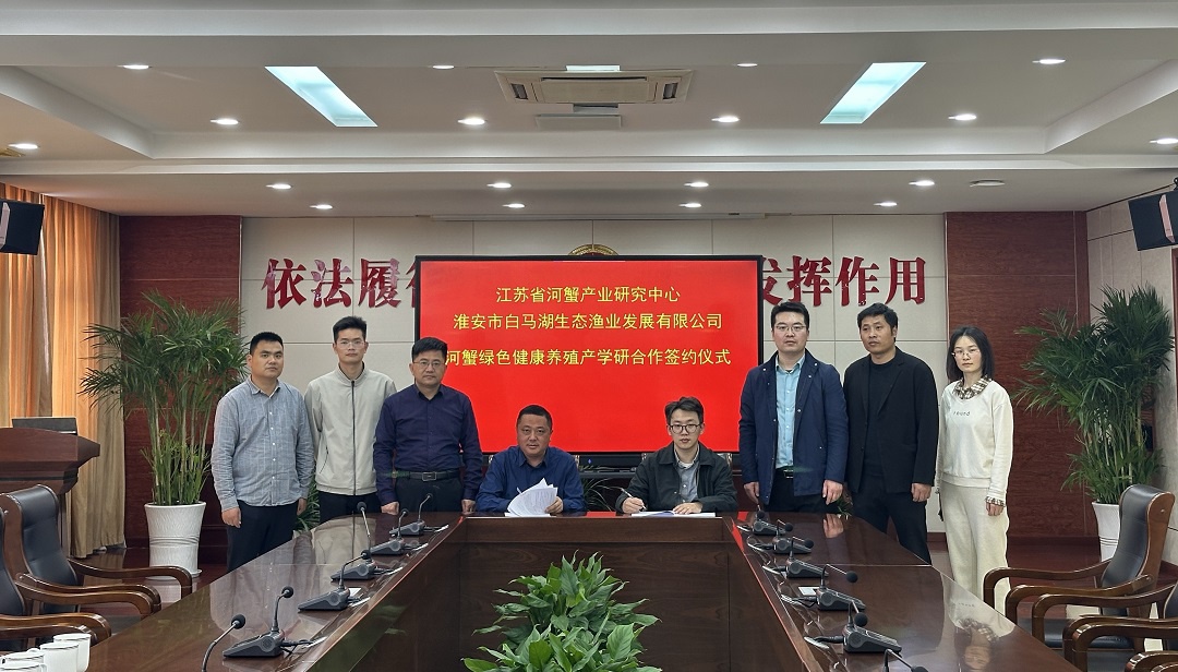 红龙扑克 - 专业在线扑克赛事运营商